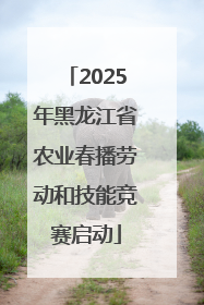 2025年黑龙江省农业春播劳动和技能竞赛启动